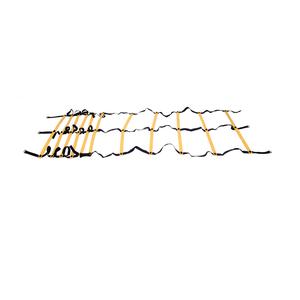 DOUBLE QUICK LADDER